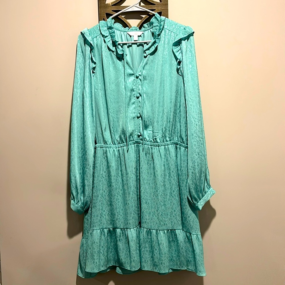 Lauren Conrad Green Long Sleeve dress
